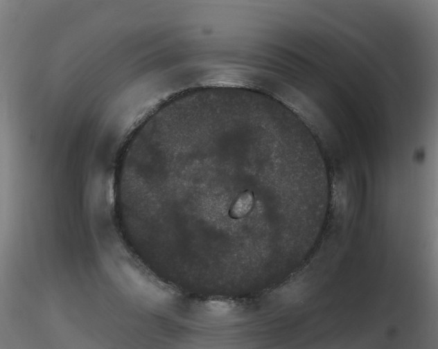 X0000116760302200912241148