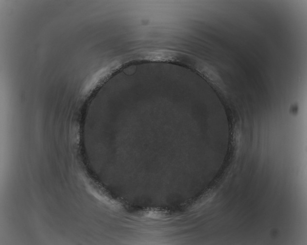 X0000116760303200912241148