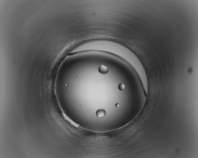 X0000116760304200912241148
