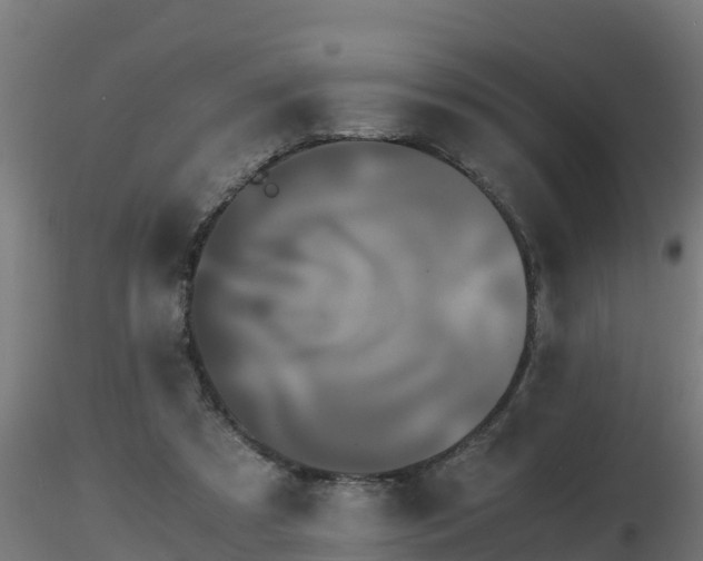 X0000116760305200912241148