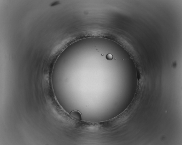 X0000116760306200912241148