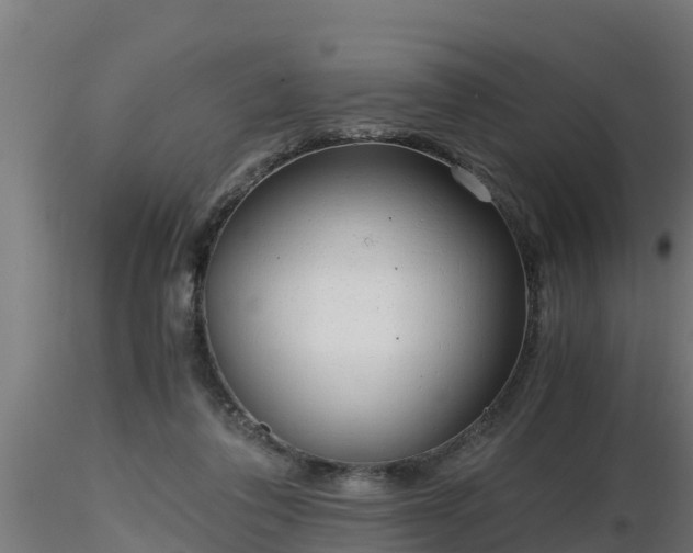 X0000116760308200912241148