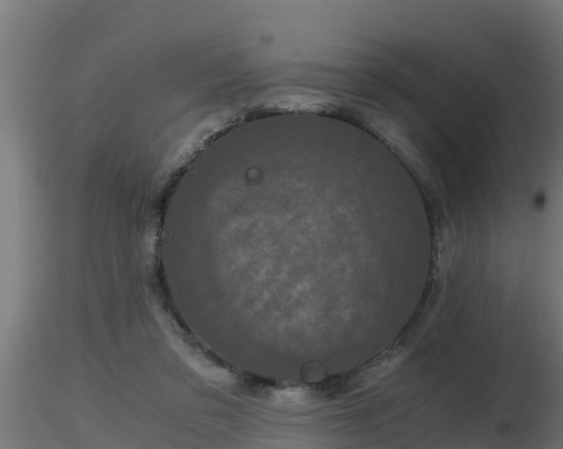 X0000116760309200912241148