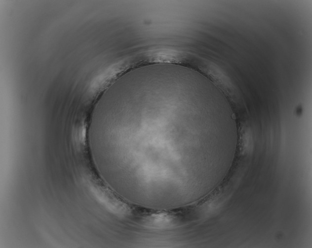 X0000116760310200912241148