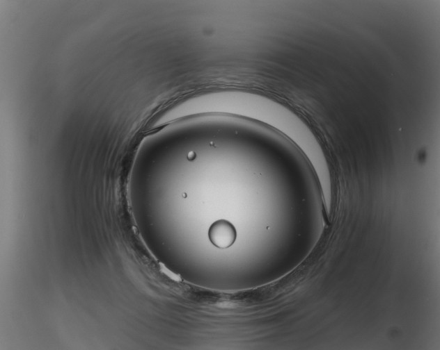X0000116760312200912241148