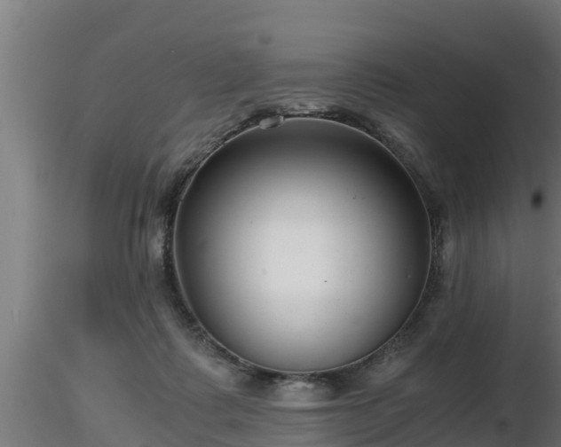 X0000116760315200912241148