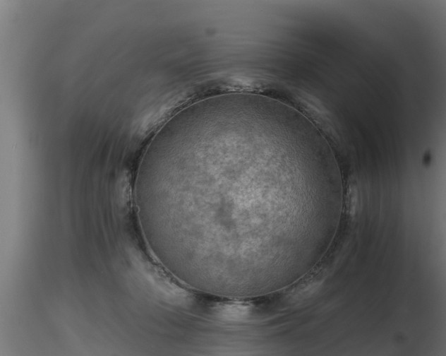 X0000116760318200912241148