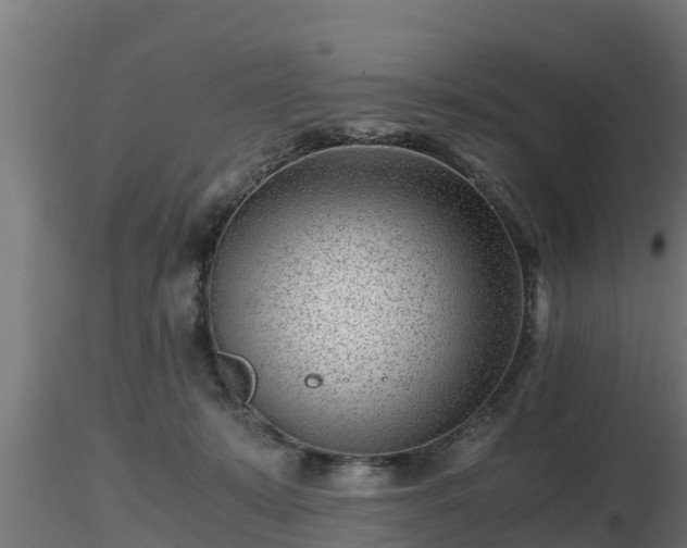X0000116760319200912241148