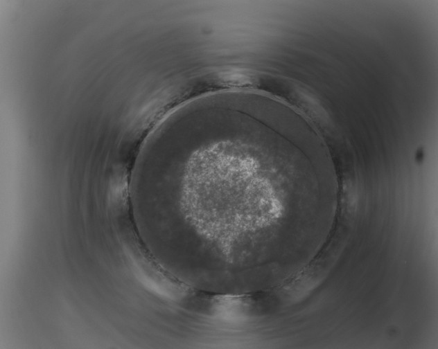 X0000116760320200912241148