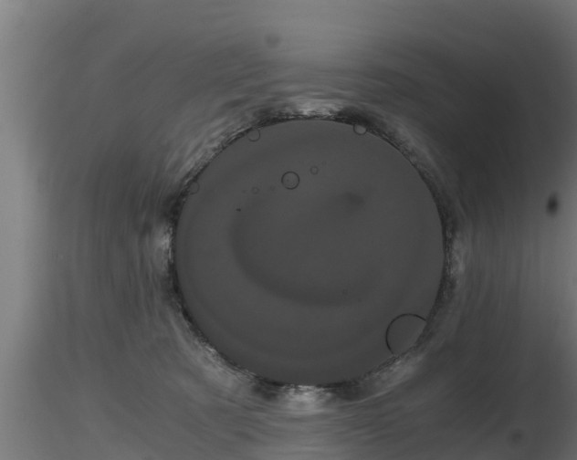 X0000116760321200912241148