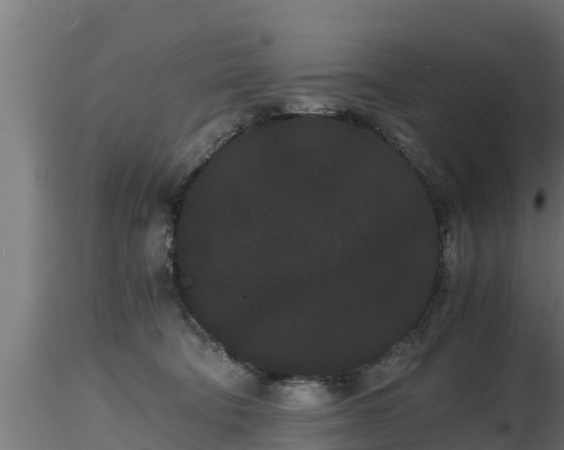 X0000116760322200912241148