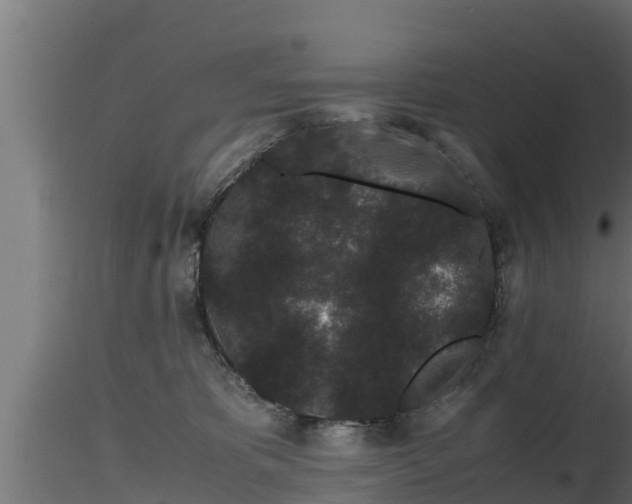 X0000116760325200912241148