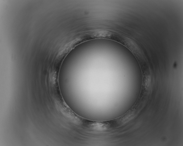 X0000116760326200912241148