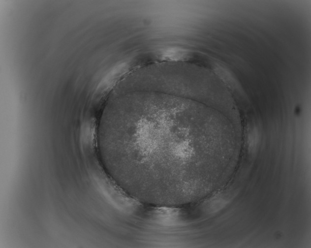 X0000116760328200912241148