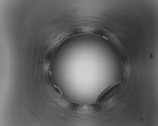 X0000116760329200912241148