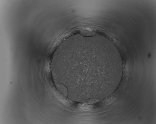 X0000116760331200912241148