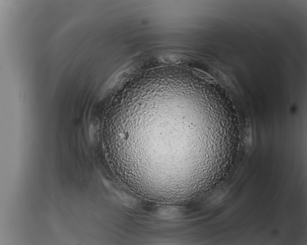 X0000116760332200912241148