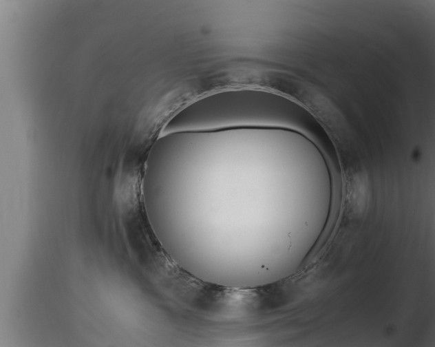 X0000116760333200912241148