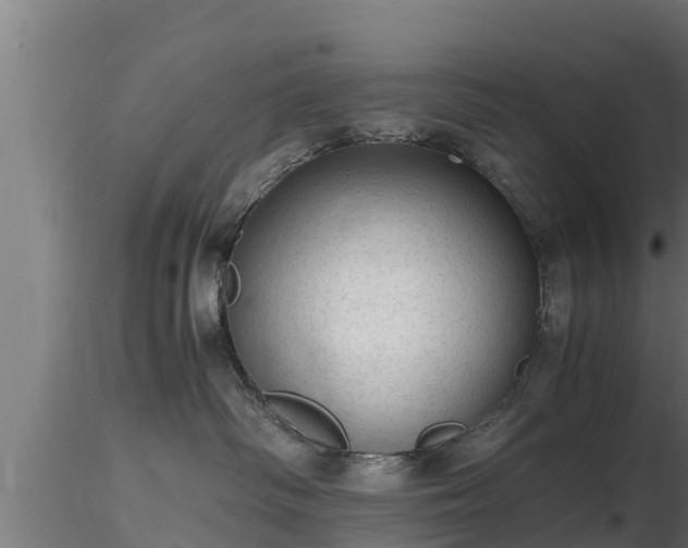 X0000116760334200912241148
