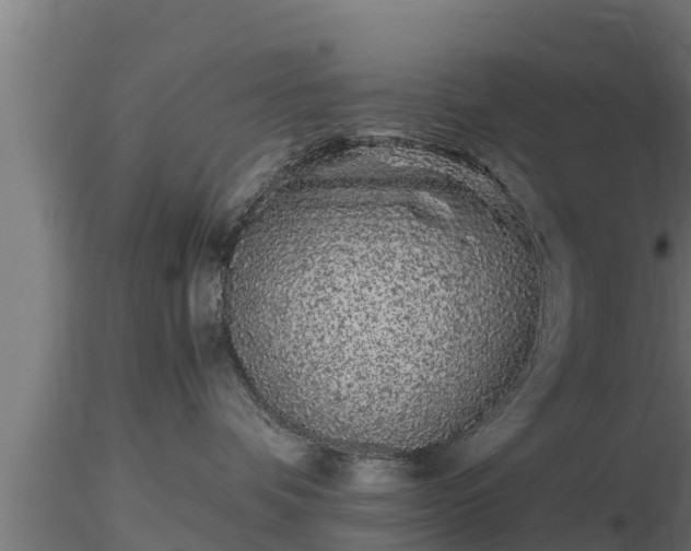X0000116760336200912241147