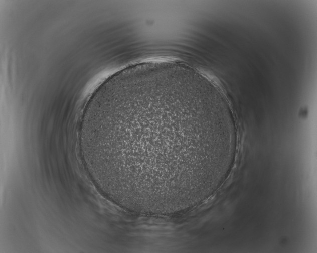 X0000116760337200912241147