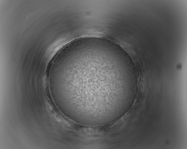 X0000116760338200912241147