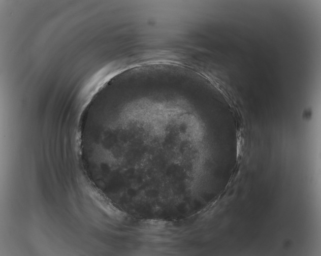 X0000116760339200912241147