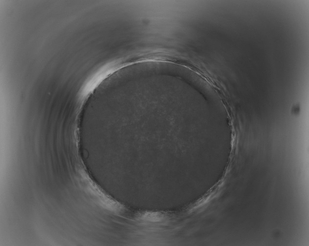 X0000116760341200912241147