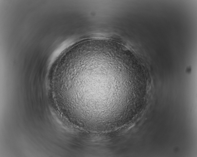 X0000116760343200912241147