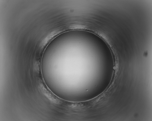 X0000116760345200912241147
