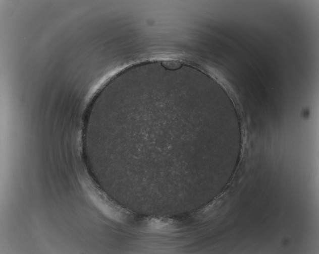 X0000116760346200912241147