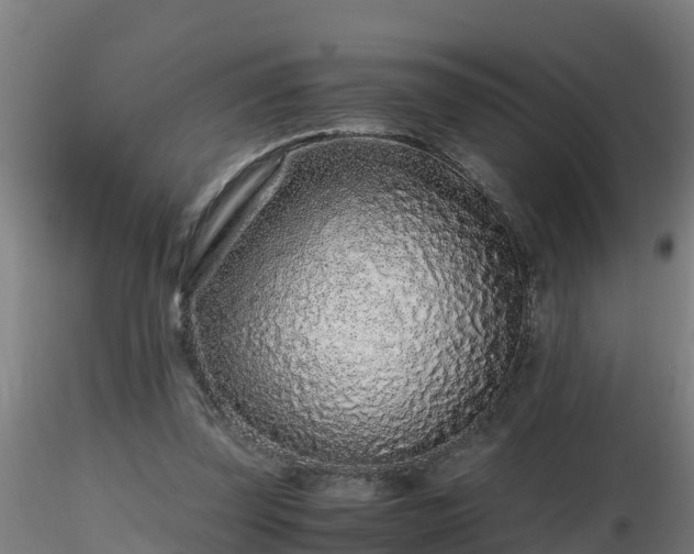 X0000116760347200912241147