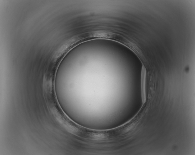 X0000116760349200912241147