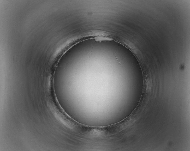 X0000116760350200912241147