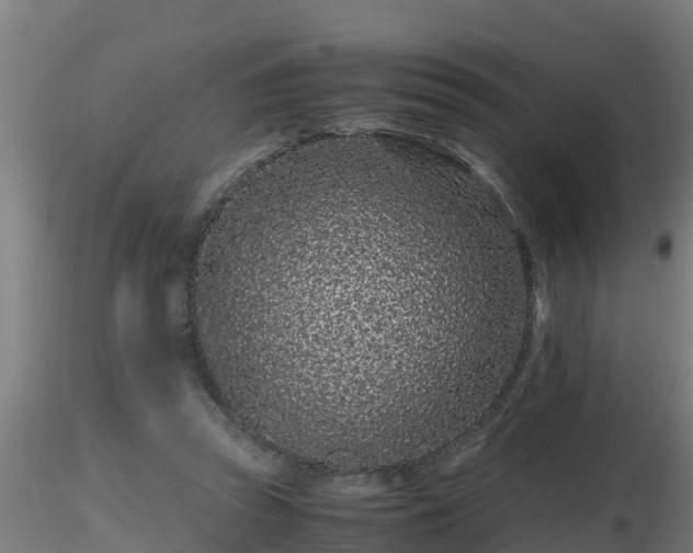 X0000116760353200912241147