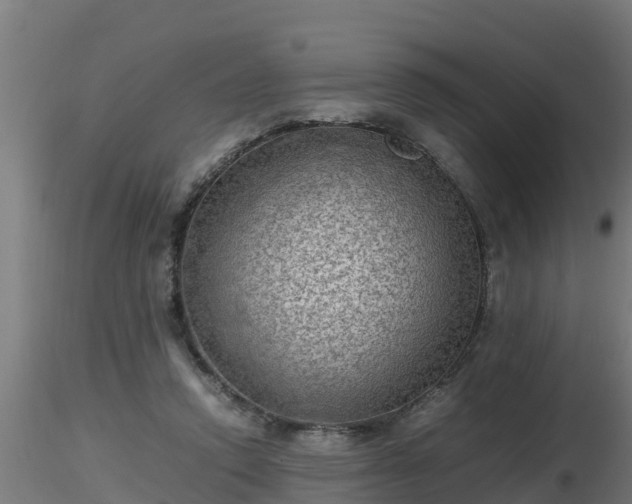 X0000116760354200912241147