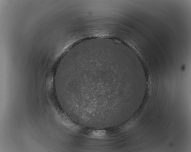X0000116760355200912241147