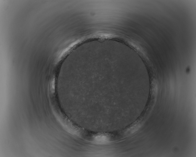 X0000116760358200912241147
