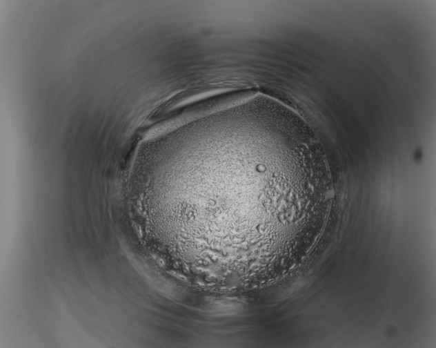 X0000116760359200912241147