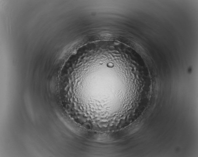 X0000116760361200912241147