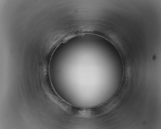 X0000116760362200912241147