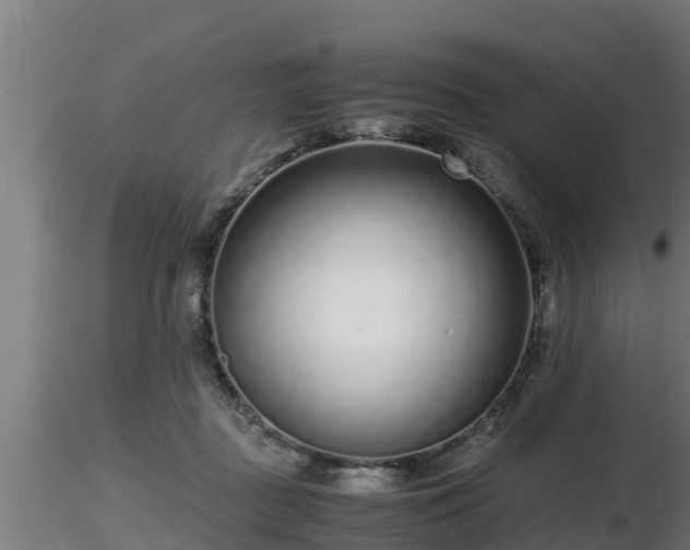 X0000116760363200912241147