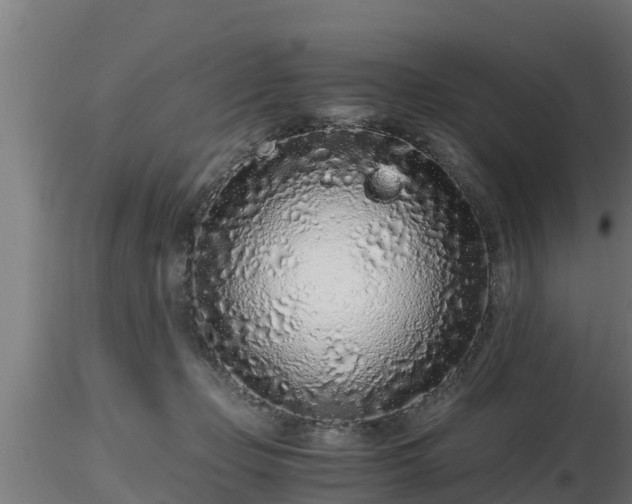 X0000116760365200912241147