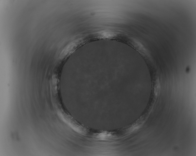 X0000116760366200912241147