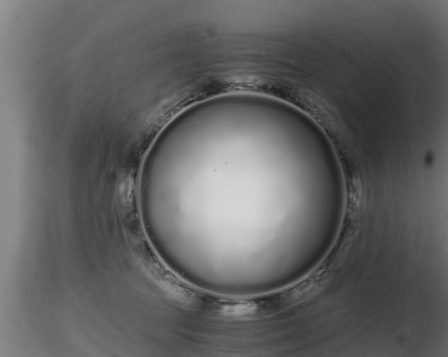 X0000116760369200912241147
