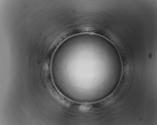 X0000116760373200912241147