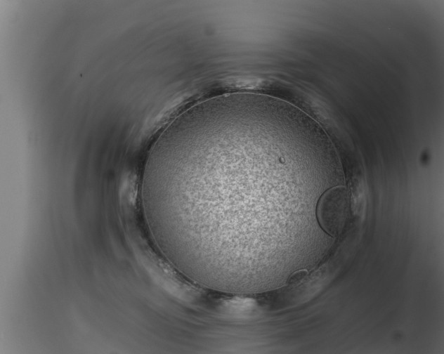 X0000116760374200912241147