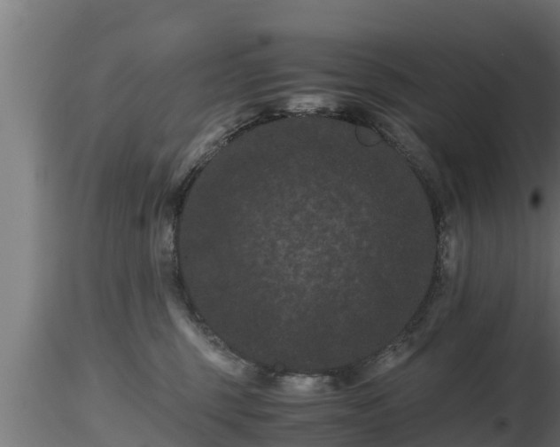 X0000116760375200912241147