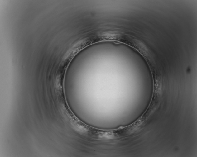 X0000116760377200912241147