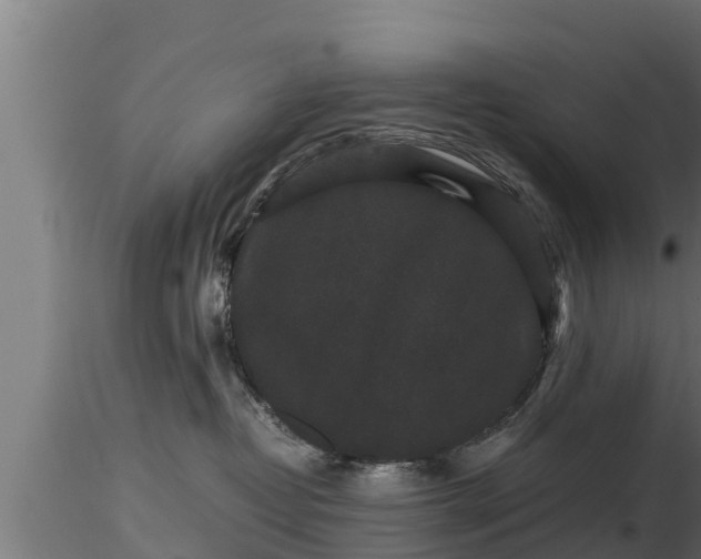 X0000116760382200912241147